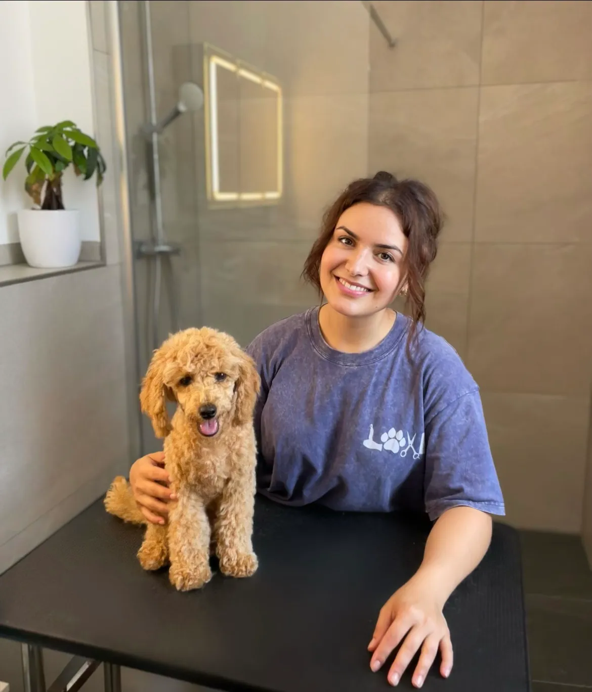 Zufriedener Toy Pudel mit Magdalena nach dem Frisieren im Badezimmer